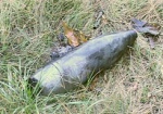 В Чугуеве возле дома нашли 100-килограммовую бомбу