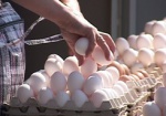 На рынках дорожают куриные яйца