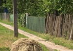 Чернов: Людей в селах становится меньше, а сельсоветов – больше