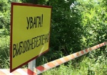 В Краснокутском районе нашли две мины и артснаряд