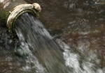 В Кулиничах сточные воды загрязняют реку