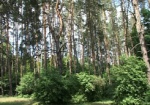 Красноградский лесхоз незаконно использует 10 тысяч гектаров земли