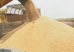 На Харьковщине сформирован региональный запас продовольственного зерна