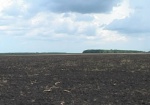 Госземагентство: Из-за моратория на землю Украина ежегодно теряет до 5 миллиардов гривен