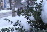 На этой неделе в Харькове выпадет снег