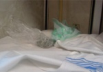 Пограничники нашли в поезде марихуану. Пассажир прятал «травку» под подушкой