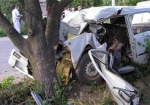 Под Лозовой водитель на «копейке» врезался в дерево