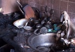 В Купянском районе в огне погибла женщина