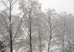 Харьковские синоптики не обещают много снега. Но гололедица будет