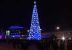 К Новому году на площади Свободы появятся рождественские деревья с подарками