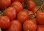 Украинские помидоры зимой будут дороже импортных