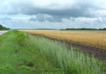 Глава фермерского хозяйства под Красноградом переписал землю на «мертвые души»