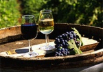 В Украине на 42% упало производство вин