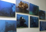 В Харьковском морском музее проходит выставка подводной фотографии