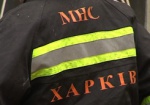 В Харьковской области в огне погибли два человека