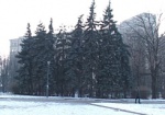 На календаре – середина декабря. Когда до Харькова доберется зима?