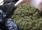 За продажу марихуаны задержали жителя Первомайского