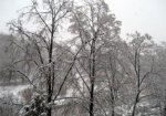 Завтра в Харькове обещают небольшой снег