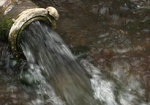 Коммунальное предприятие сбрасывало сточные воды в реку