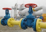 Янукович: Украина будет настаивать на снижении стоимости газа
