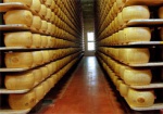 Россия ввела запрет на ввоз ряда украинских сыров