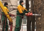 На вырубку в Харькове больных деревьев выделили 700 тысяч гривен