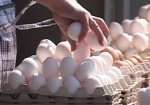 АМКУ просит производителей и реализаторов куриных яиц не завышать цены