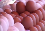 В Украине дешевеют яйца