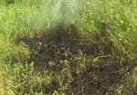 Под Харьковом горело 10 гектаров сухой травы