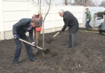 В Харькове высадили больше четырех сотен деревьев