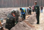 Вместо пустырей – посадки. В Харьковской области высаживают леса