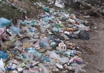 Московский и Дзержинский районы признали самыми грязными в городе