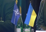 Янукович утвердил программу сотрудничества Украина-НАТО на нынешний год