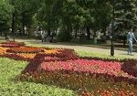 В Харькове к Еврочемпионату высадят больше миллиона цветов