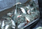 В Печенежском водохранилище будут разводить рыбу