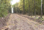 В Харьковской области в госсобственность вернули 7 гектаров лесов