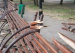 В центре Харькова вандалы повредили скамейки, деревья и мусорные урны