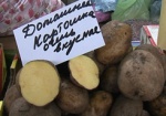 Самые популярные продукты питания украинцев — картофель, свекла, хлеб и алкоголь
