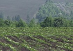 Из-за глобального потепления в Украине может быть два урожая