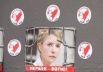 Защита Тимошенко по-прежнему просит отпустить ее к родным