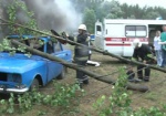 Харьковские спасатели тренировались тушить пожары в лесу
