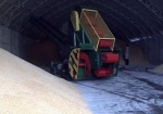 Украинские аграрии рассчитывают собрать 47 миллионов тонн зерна