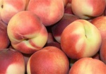 Вдоволь поесть отечественных персиков и абрикос украинцам в этом году не удастся