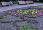 Второй урожай тепличных цветов в Харькове ожидают в конце августа