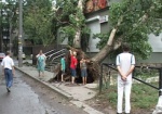 Ветер валил деревья, а молния попадала в дома. В Харькове разгулялась стихия