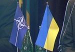 Тимошенко ждет гостей из НАТО