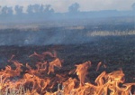 Под Красноградом сгорело 10 гектаров кукурузы