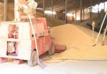 Аграрии области собрали почти пятьсот тысяч тонн зерна