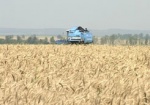 Убытки украинских аграриев в этом году могут достичь 10 миллиардов