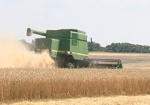 Зерна меньше, но качество лучше. Аграрии успели собрать урожай почти с половины полей области
